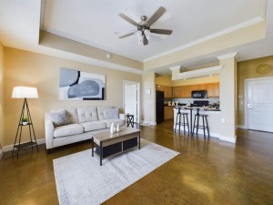 Apartments in Baton Rouge - Two Bedroom Apartment - Cameron - Living Room & Kitchen  